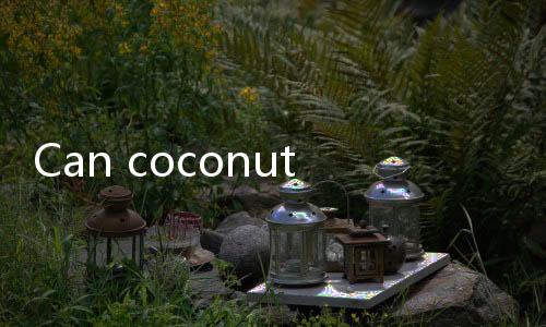 【Best Online Slots for Cash Payouts India】Can coconut meat be eaten if it has been stored in the refrigerator for 5 days?