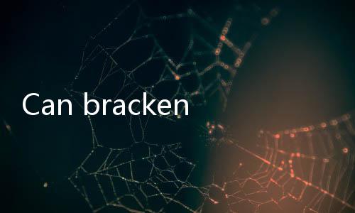 【Top Indian Slot Games with Free Spins】Can bracken be eaten after being soaked for two days?