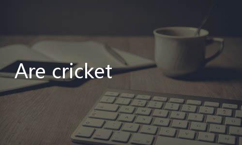 【Secure Online Slots Real Cash India】Are crickets poisonous when they bite?